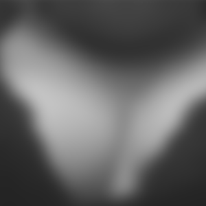 Aurora - rencontre-Cougar-Clermont-Ferrand